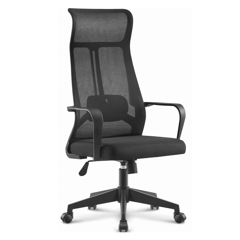 sillon negro amiens